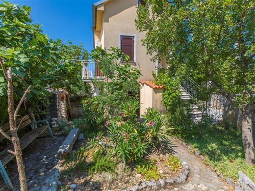 Ferieleilighet - 3 personer -  - Crikvenica/Jadranovo - 51264