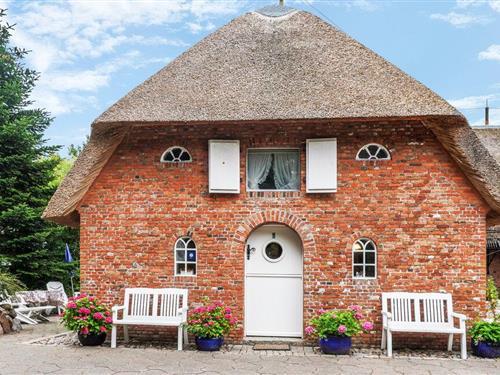 Ferielejlighed - 4 personer -  - Mühlenwarft - 25899 - Dagebüll