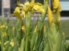 Bild 16 - Ude