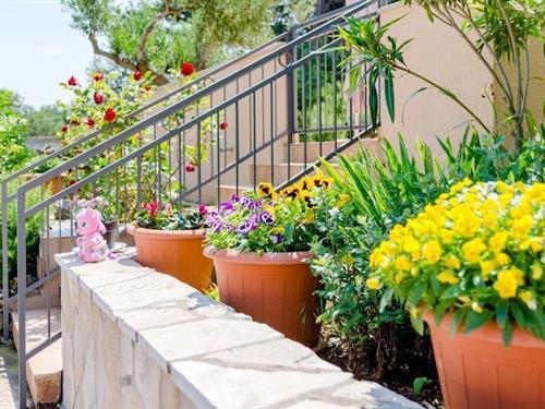 Holiday apartment - 2 persons -  - 21410 - Splitska