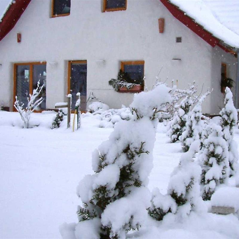 Ferielejlighed - 8 personer -  - Zur Kranichweide - 18356 - Fuhlendorf / Bodstedt