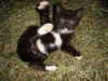 Bild 28