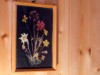 Bilde 16 - Inne