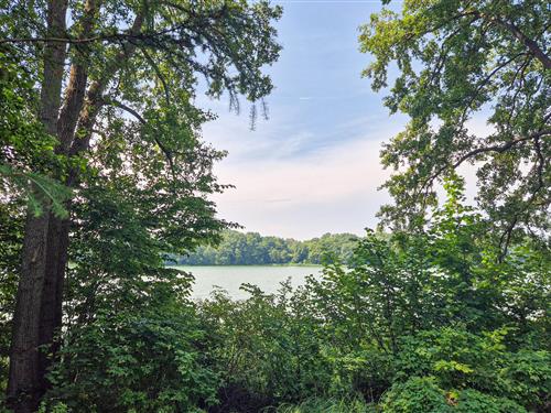 Feriehus - 3 personer -  - Matyldów - Matyldów - 09-520 - Plock