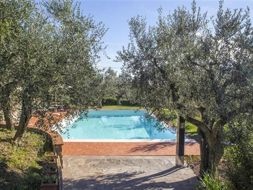 Ferielejlighed - 4 personer -  - 51036 - Larciano