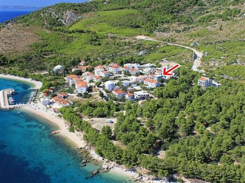 Ferielejlighed - 4 personer -  - Živogošce Blato - 21329 - Živogošce