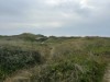 Bild 19