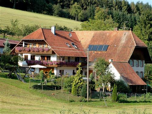 Ferienhaus - 5 Personen -  - Regelsbach - 77978 - Schuttertal