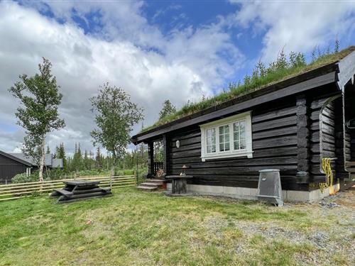 Sommerhus - 4 personer -  - Midtstrømsætra - Synnfjell/Nord-Torpa - 2880 - Nord-Torpa