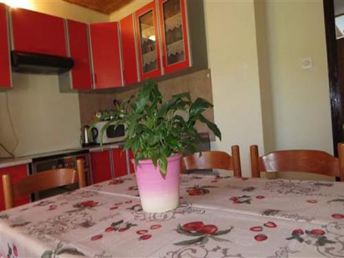 Holiday apartment - 4 persons -  - 51280 - Rab