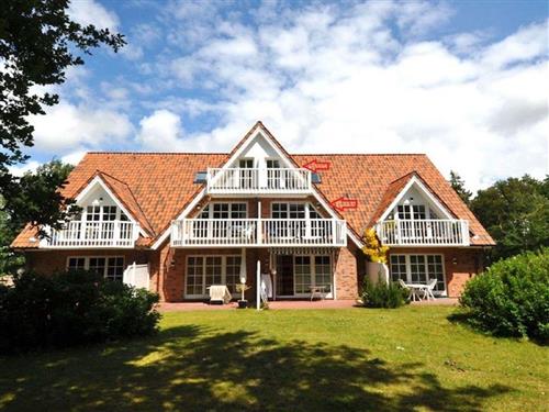 Ferienhaus - 4 Personen -  - Böhler Landstraße - 25826 - St. Peter-Ording