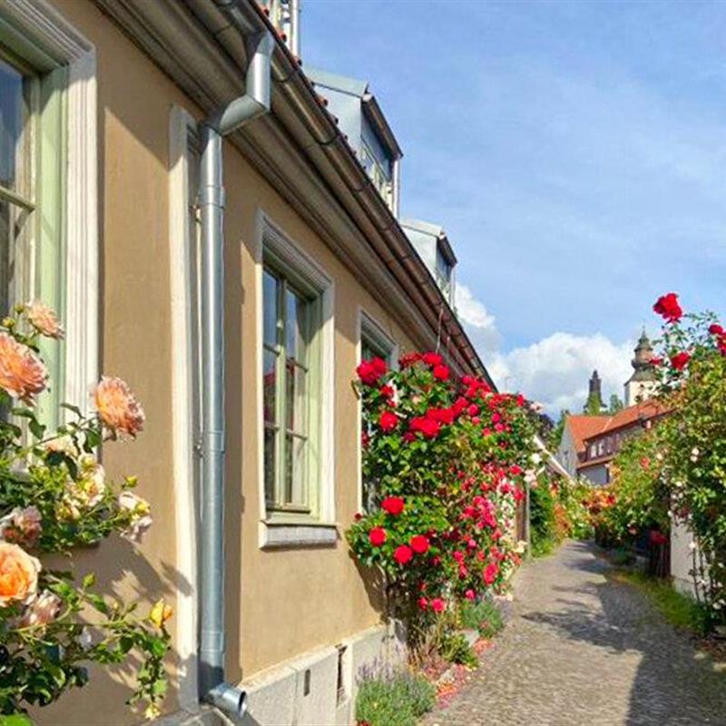 Sommerhus - 5 personer -  - S:t Hansgatan - 621 57 - Visby Innerstad