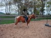 Bild 18