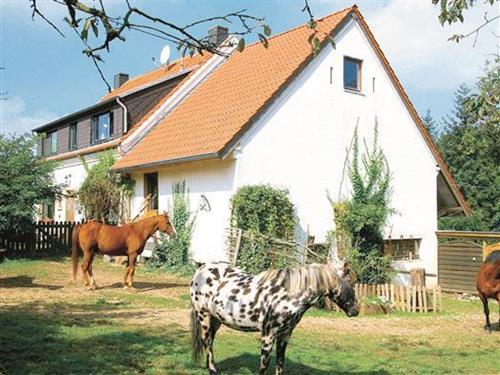 Ferienwohnung - 4 Personen -  - Prümerstr. - 54597 - Schloßheck