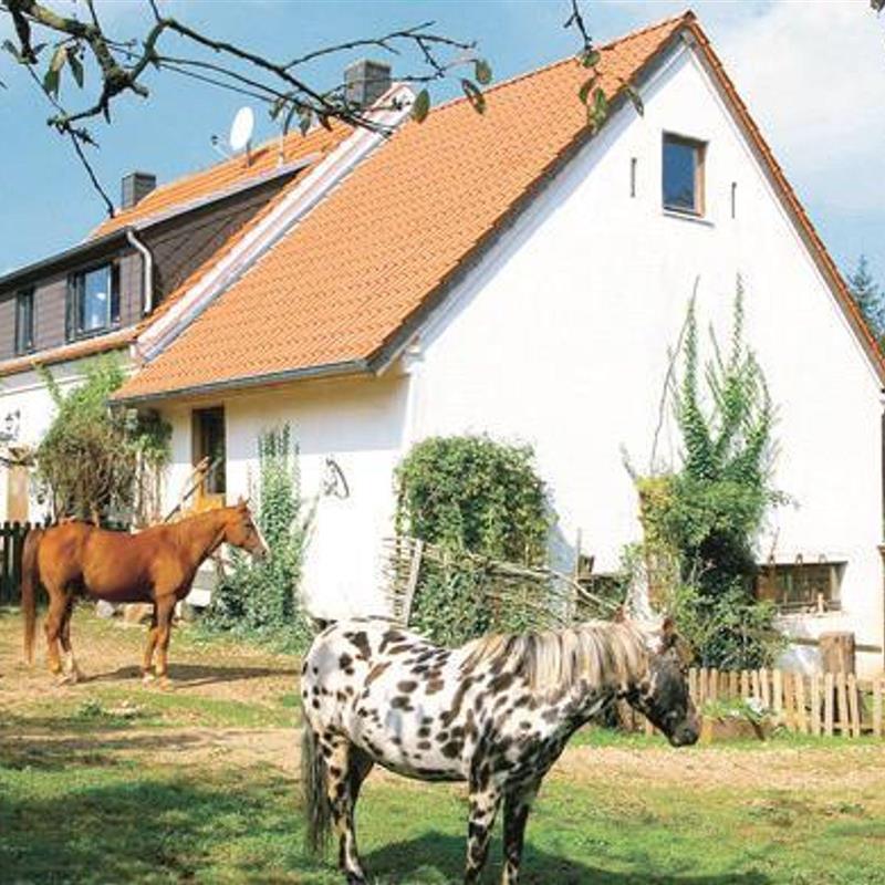 Ferielejlighed - 4 personer -  - Prümerstr. - 54597 - Schloßheck