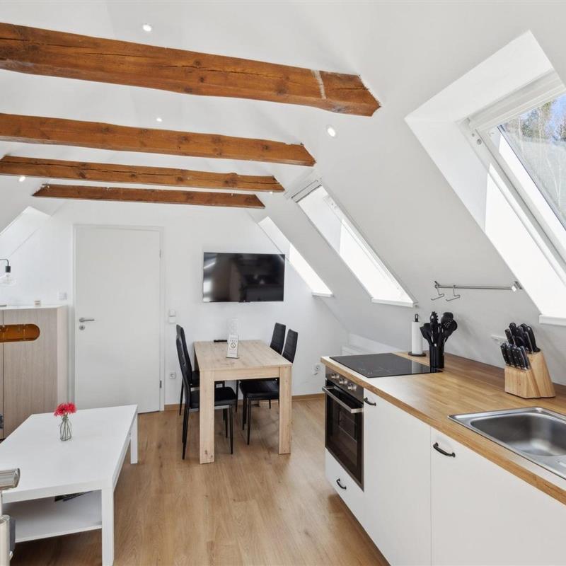 Ferielejlighed - 4 personer -  - 29640 - Schneverdingen