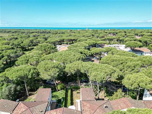 Feriehus - 6 personer -  - Grosseto - 58100