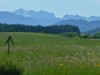 Billede 5