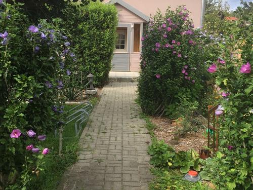 Sommerhus - 6 personer -  - Börnecker Straße - 38889 - Blankenburg (Harz)