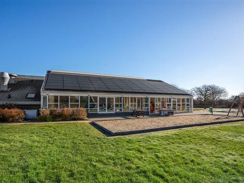 Ferienwohnung - 4 Personen -  - Vester Fælled - Bork Havn - 6893 - Hemmet Strand