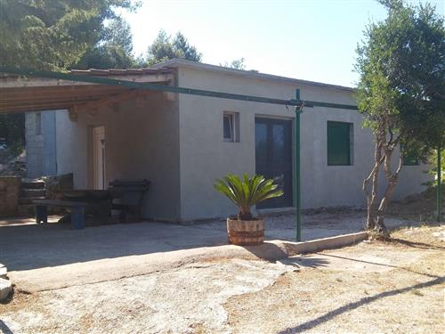 Holiday home - 6 persons -  - Uvala borova b.b. - 21462 - Vrbanj