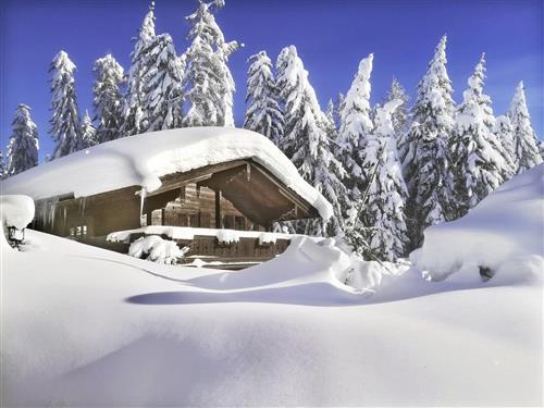 Bauernhof - 8 persons -  - Weberlandl 67 B - 5602 - Wagrain