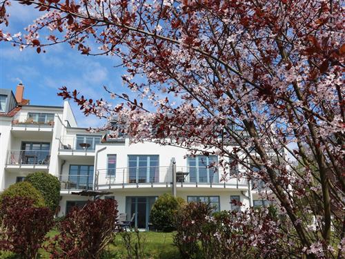 Vacation center - 6 persons -  - Heimweg - 17454 - Zinnowitz