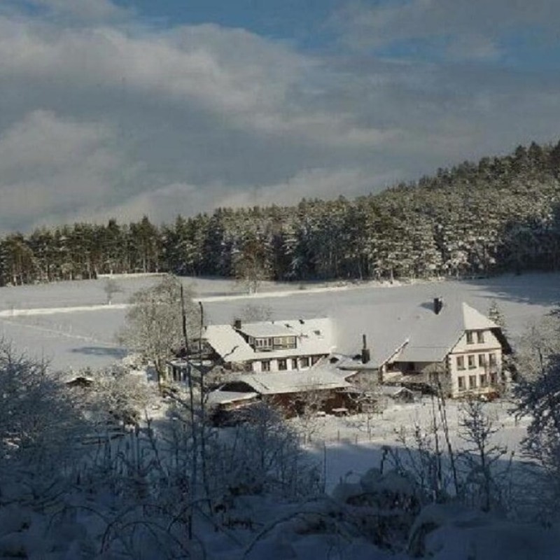 Sommerhus - 4 personer -  - 79215 - Elzach\/Heidburg