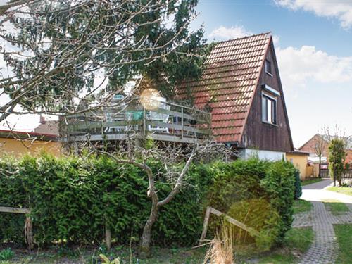 Ferienhaus - 4 Personen -  - Lindenstraße - 17248 - Lärz