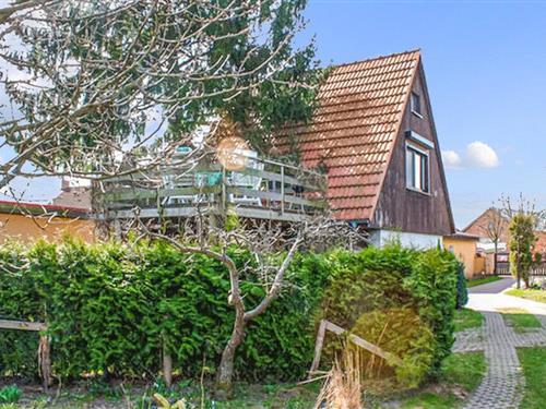 Ferielejlighed - 4 personer -  - Lindenstraße - 17248 - Lärz