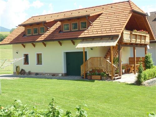 Holiday Home/Apartment - 3 persons -  - Mitterdorf - 8843 - Sankt Peter Am Kammersber