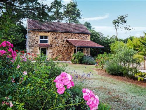 Fritidshus - 6 personer -  - Route de Latuque - 46700 - Montcabrier