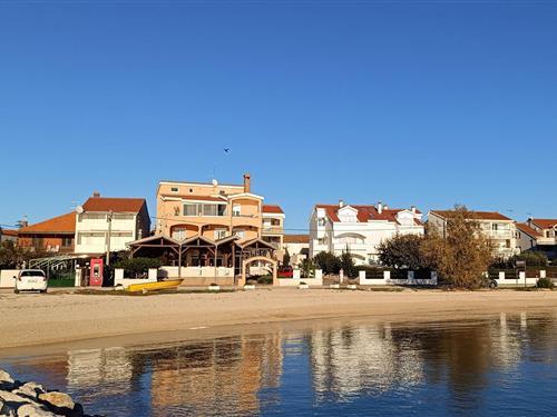 Holiday apartment - 4 persons -  - Obala dr. Franje Tudmana - Biograd-Turanj - 23207 - Turanj