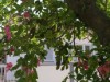 Bild 15 - Aussen