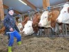Bild 19