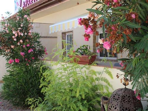 Ferienwohnung - 4 Personen -  - Las Beatas - 30740 - San Pedro Del Pinatar