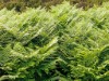 Bild 34 - Aussen