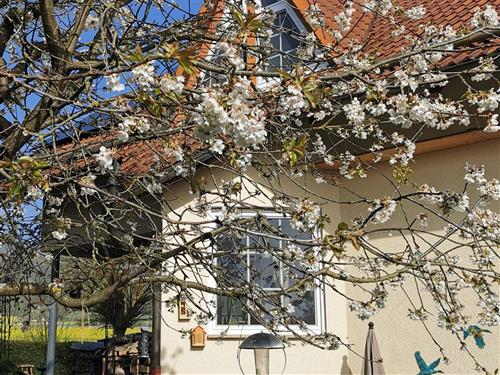 Holiday apartment - 2 persons -  - Auf dem kleinen Felde - 34549 - Edertal / Kleinern