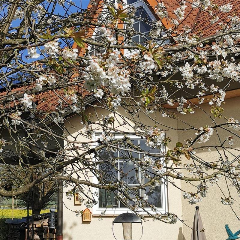 Ferielejlighed - 2 personer -  - Auf dem kleinen Felde - 34549 - Edertal / Kleinern