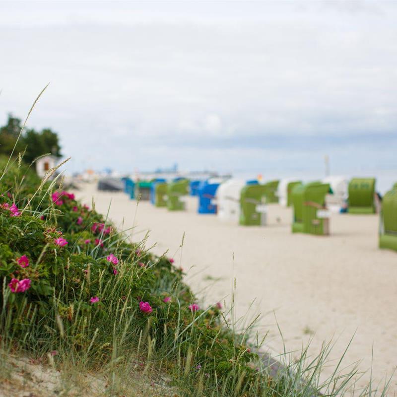 Ferielejlighed - 2 personer -  - Mühlenstraße - 25938 - Wyk