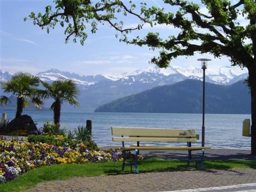 Ferieleilighet - 2 personer -  - Weggis - 6353