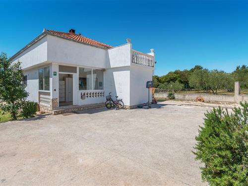 Sommerhus - 8 personer -  - Dragana Kresana - Zadar-Sukosan - 23206 - Sukosan