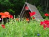 Bild 19