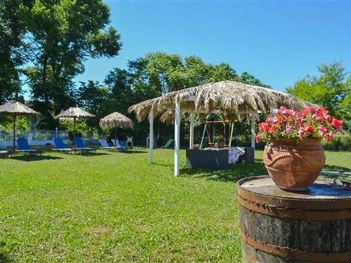 Holiday apartment - 5 persons -  - Sidari - 49081 - Corfu