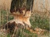Bild 22