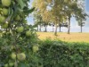Billede 10 - Udsigt over vand