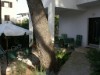 Bilde 7