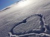 Bild 52