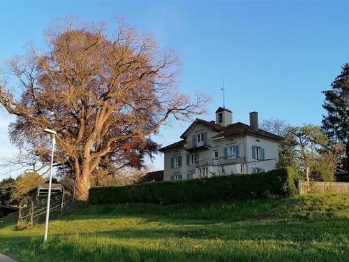 Holiday apartment - 2 persons -  - Chli-Rigi - 8598 - Bottighofen