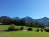 Bilde 7